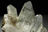 Clear Quartz Crystal Cluster - Brazil #259248-1